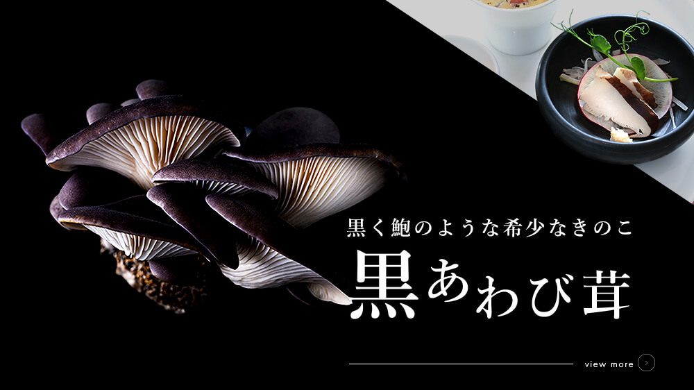 黒アワビダケ